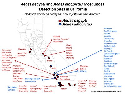 Aedes Distribution Map